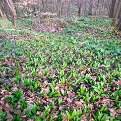 23-03-17 11-20-15 4887